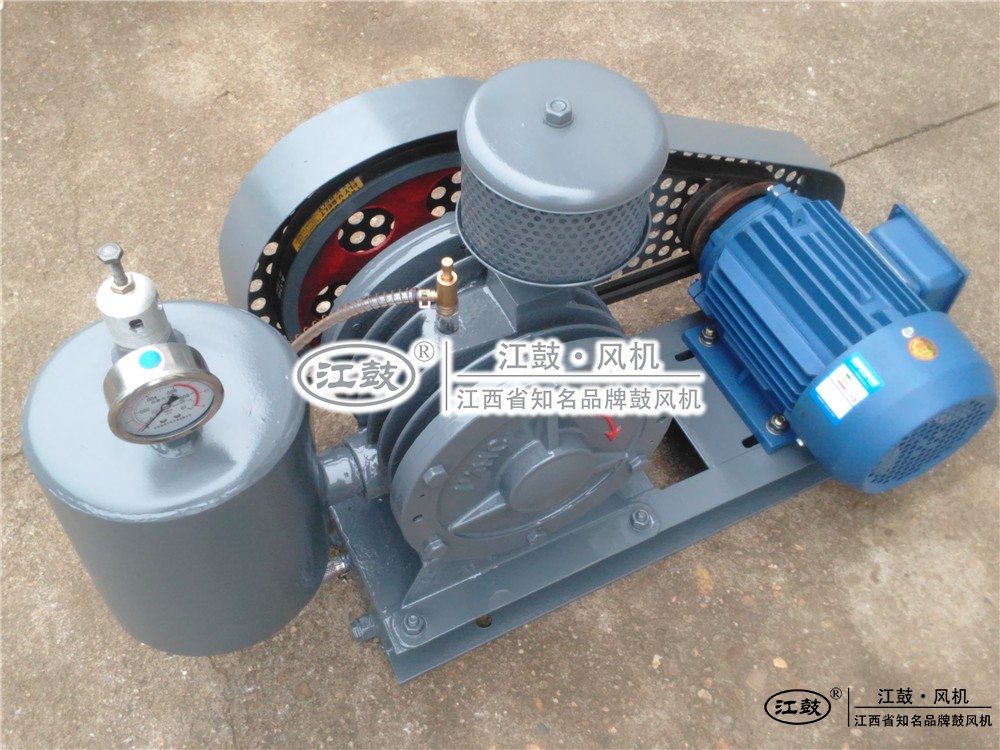 江西綠城羅茨鼓風機有限公司 江西綠城羅茨鼓風機有限公司