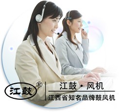 江西綠城羅茨鼓風機有限公司